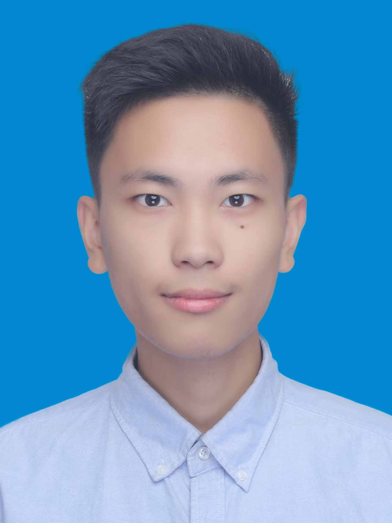 Many undergraduate students with different backgrounds contribute to the group.